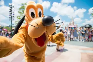 Pluto dando bienvenida al parque